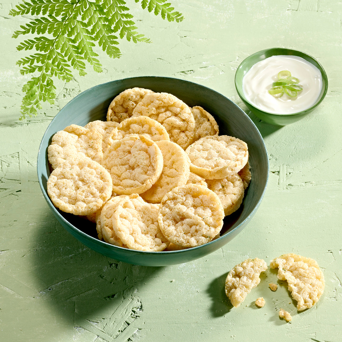 Protein Chips Sour Cream & Onion